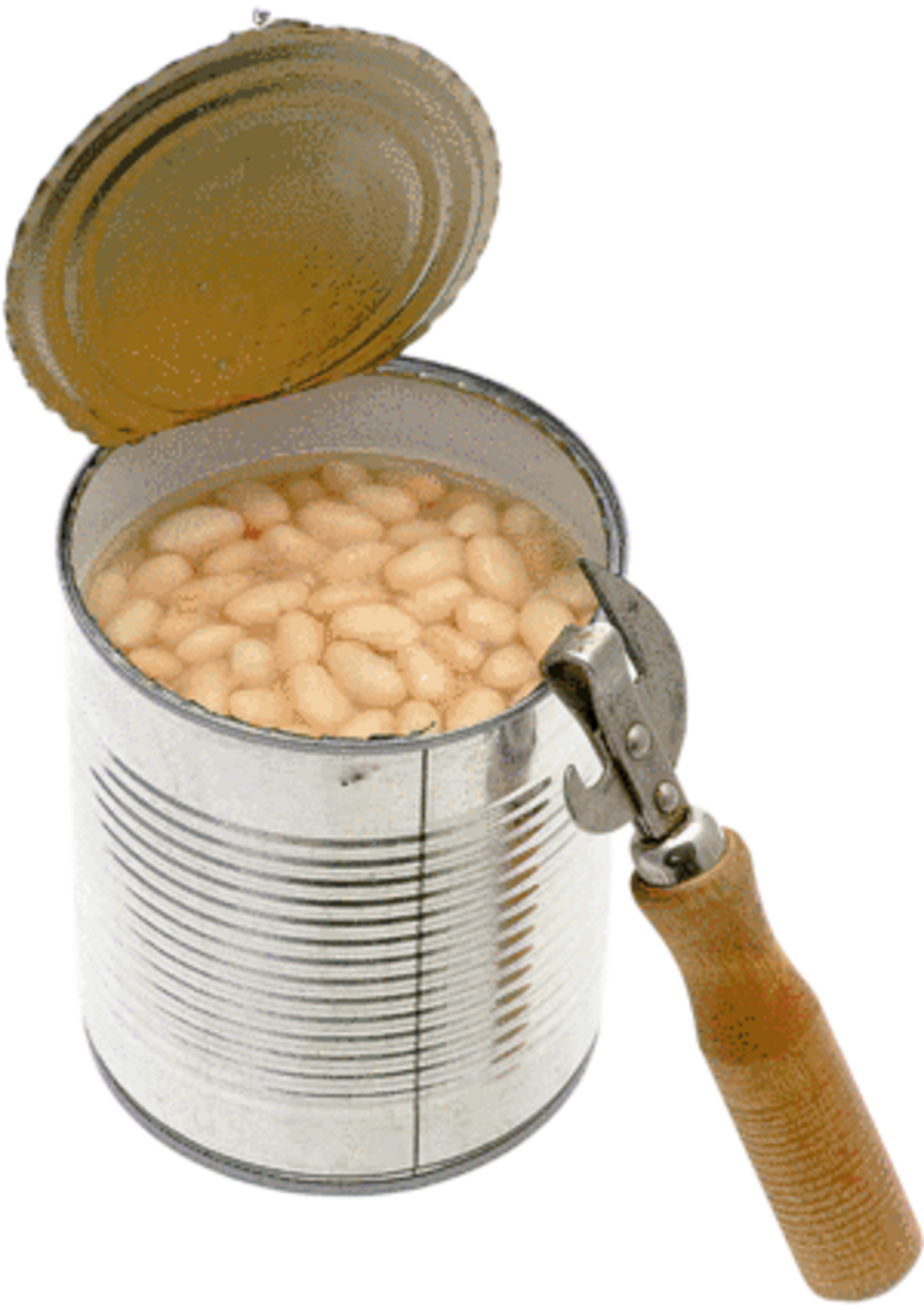 Sodium Value Check for Canned Food HORIBA