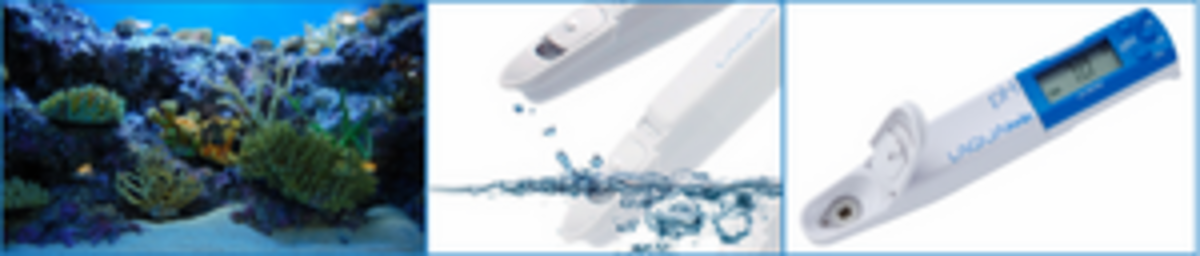 Aquarium Water Testing