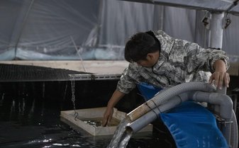 水を“見える化”して、ウナギ養殖をサステナブルな産業へ ―職人技の勘所をデータで裏づける