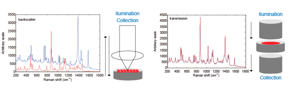 図9　Comparison between Raman micro mapping（A）and TRS（B）for a two-layer tablet. Blue line is API side spectrum. Red line is expieut side spectrum.