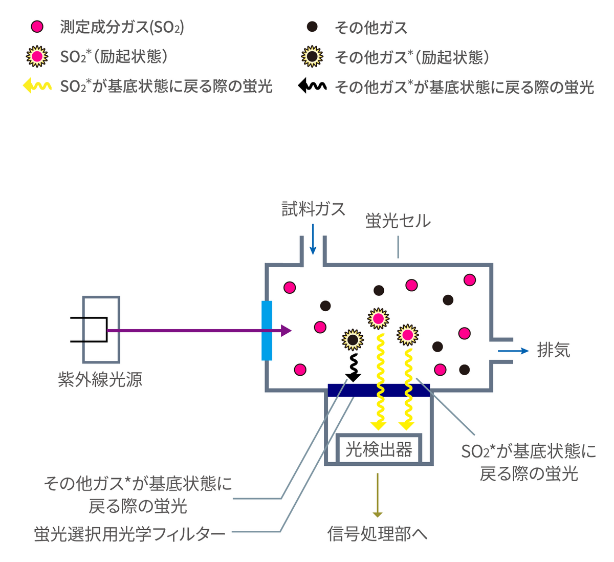 図1:UVFを用いたガス分析計の基本構造