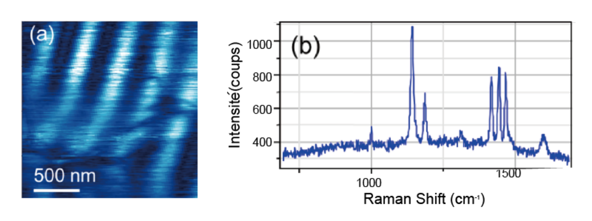 （a）ナノコンタクト印刷によって形成されたパターン化されたアゾベンゼンSAM*の1141cm⁻¹のピークを監視して得られたTERSマップ。 （b）アゾベンゼン分子のTERSスペクトル。 レーザ波長633nm; レーザー出力0.5mW （Dr. Marc Chaigneau提供） 