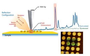 TERS on Functionalized Gold Nanostructures for Nano-scale Biosensing