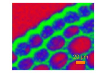 SmartSampling feature, a breakthrough in hyperspectral imaging SmartSampling feature, a breakthrough in hyperspectral imaging