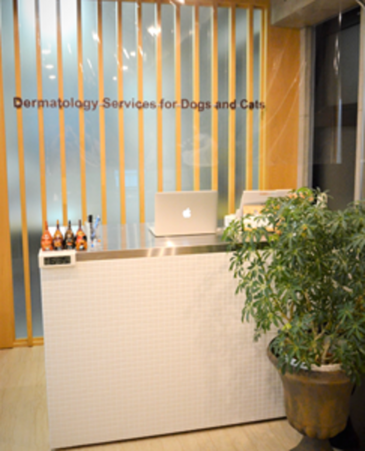 すっきりと落ち着いた受付・待合室