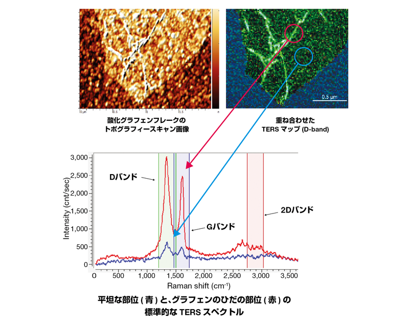 酸化グラフェンのTERSイメージング
