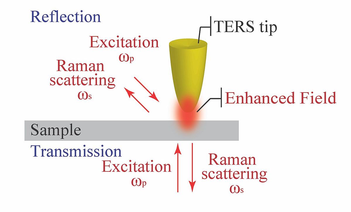 miel Expansión Indomable What is Tip Enhanced Raman Spectroscopy? - HORIBA