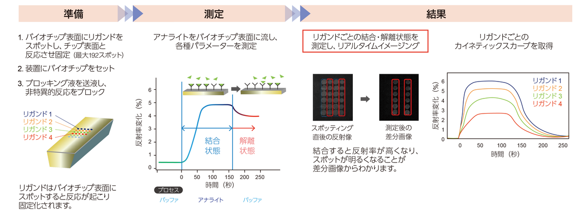 表面プラズモン共鳴イメージング装置測定フロー