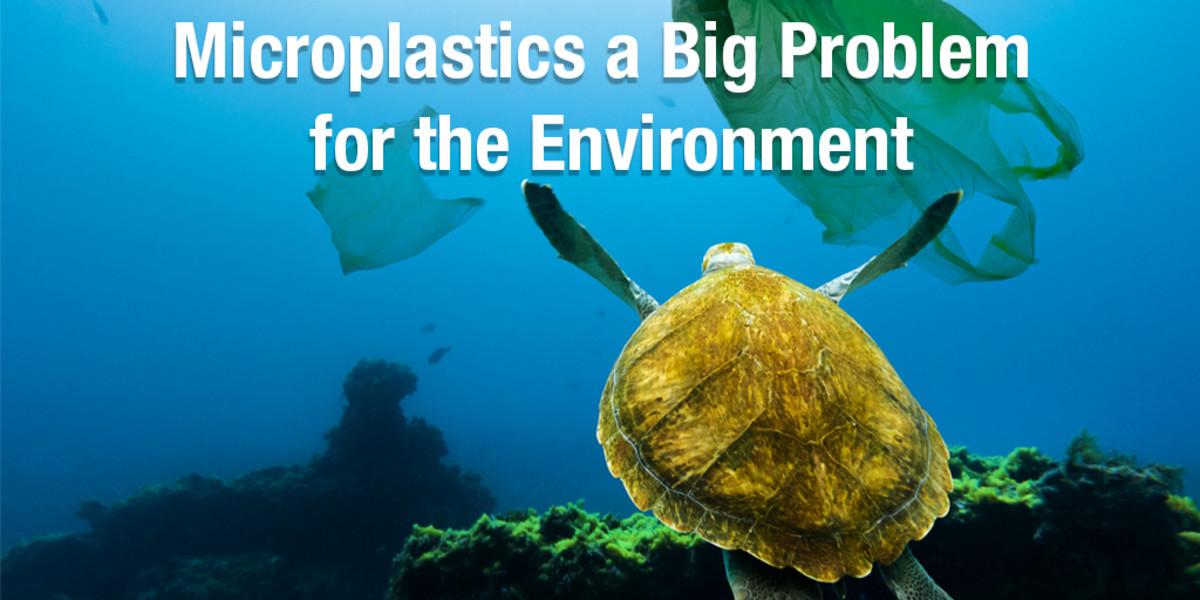 Microplastics a Big Problem For The Environment