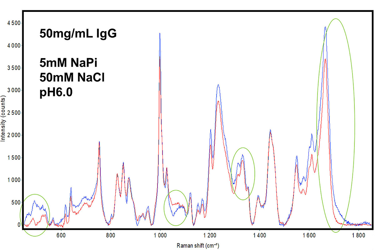 異なるアミノ酸配列を有したIgG1型抗体のラマンスペクトルの比較