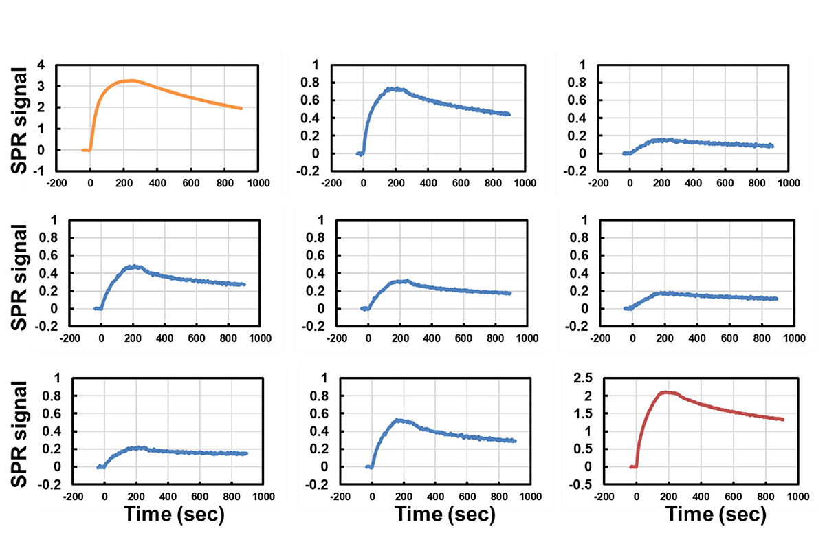 安定性や結合活性が異なる様々な抗体を固定化し、抗原に対するSPRシグナル変化を比較した測定結果