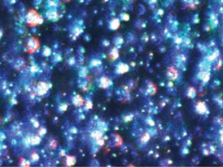 Accurate Protein Aggregation Analysis