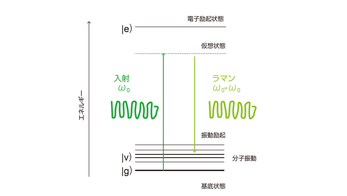 図12 ラマン散乱過程のヤンブロンスキー図