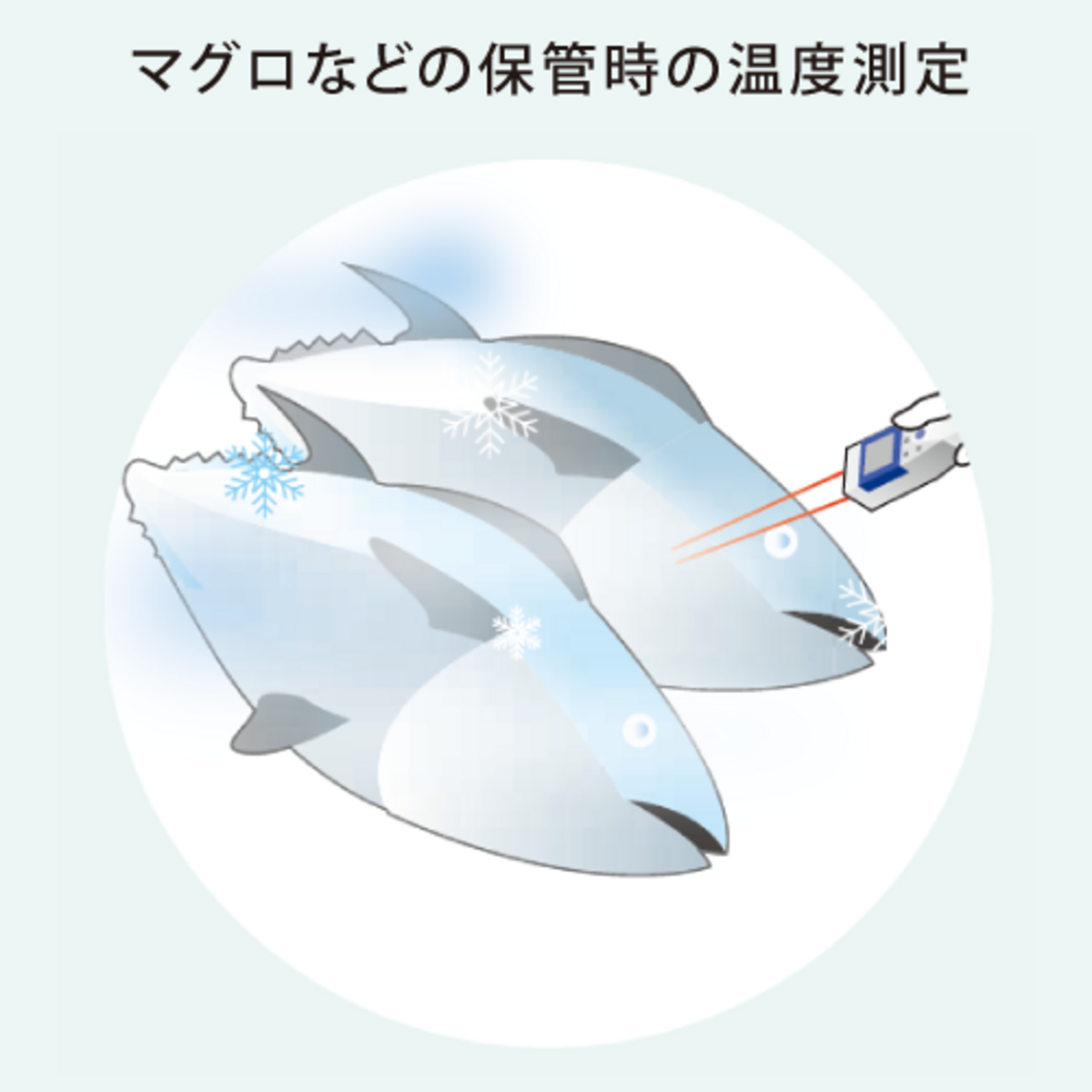 マイナス99℃までの温度測定を実現！放射温度計「IT-545(N/S)」シリーズの新たなオプション機能