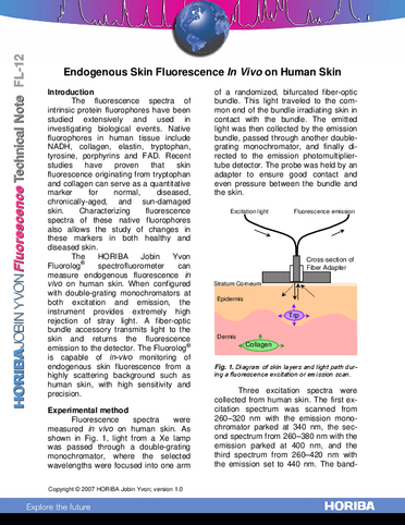 Endogenous Skin Fluorescence In Vivo on Human Skin