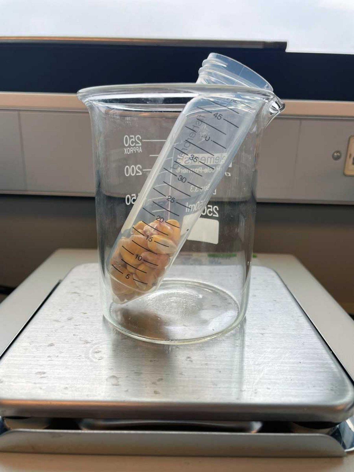 Fluorescence spectroscopy detects mold in bourbon grains HORIBA