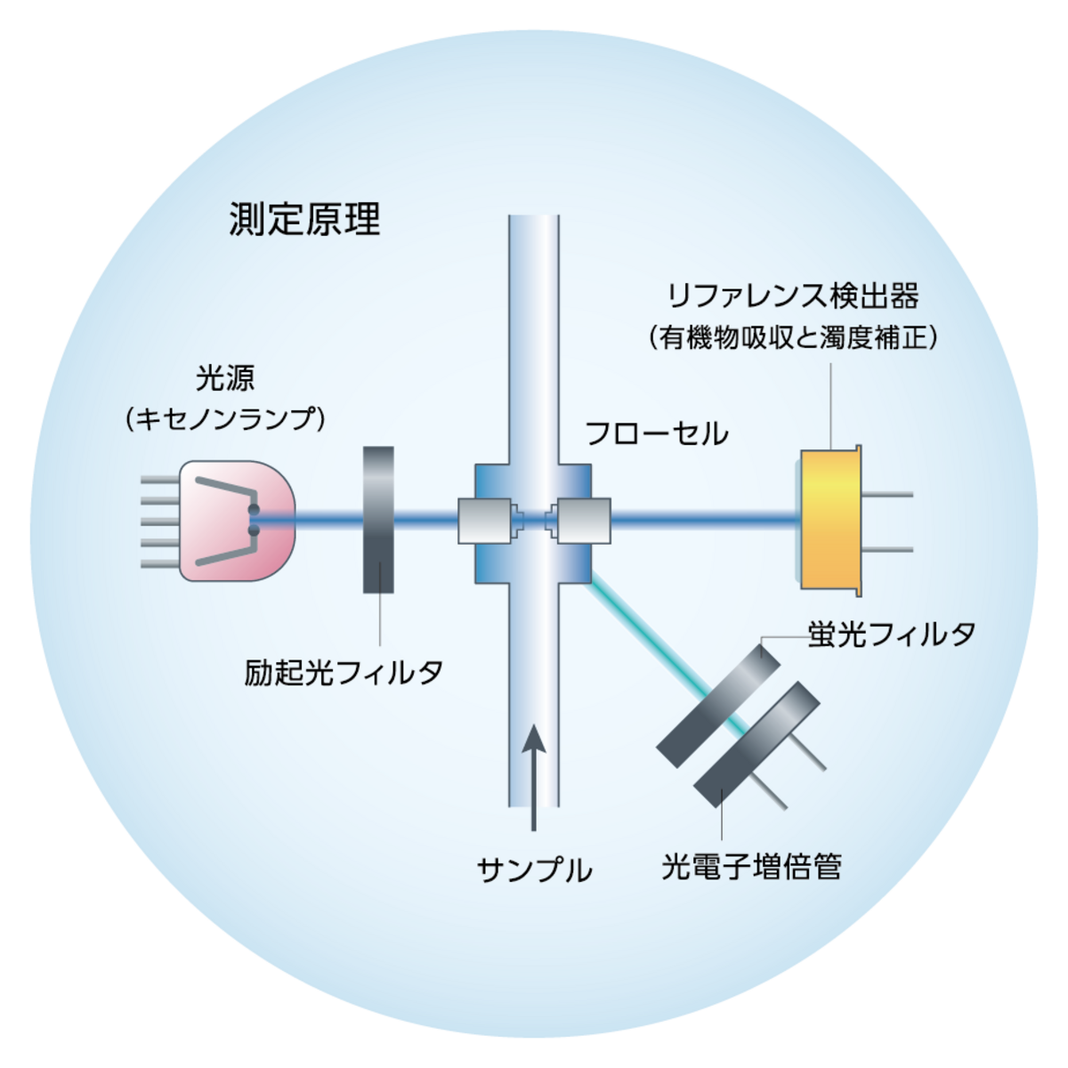 蛍光原理 蛍光原理