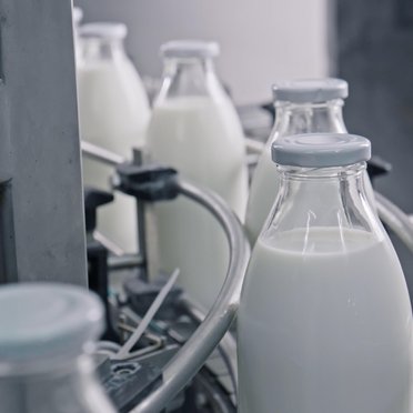 thumbnail of dairy manufacturing and packaging