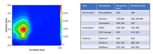 Characterizing Monoclonal Antibody Purification with 2D Fluorescence Spectroscopy