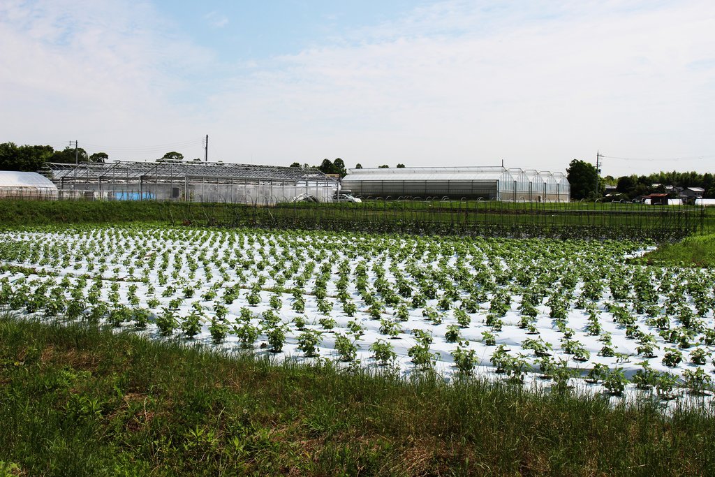 微生物と最先端設備を用いて 土と生態系を活かした有機農場を
