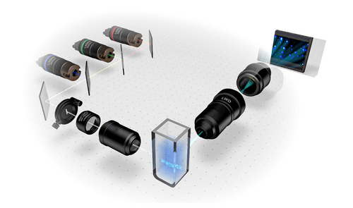 Comparison of Extracellular Vesicle Purification Methods