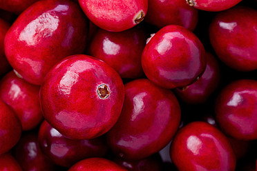 Identification and Quantification of Potential Adulterants in Cranberry Fruit Juice Dry Extracts
