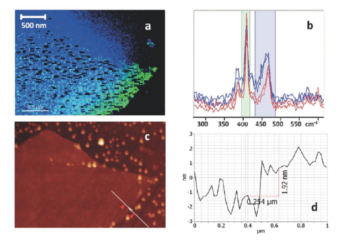 （a）金で剥離したMoS₂の数層の厚いフレークのTERSイメージング（408 cm⁻¹のピーク（緑）と465 cm⁻¹（青）） （b）TERS イメージング内の特徴的な箇所のスペクトル （c）対応するトポグラフィイメージ （d）AFM断面分析 