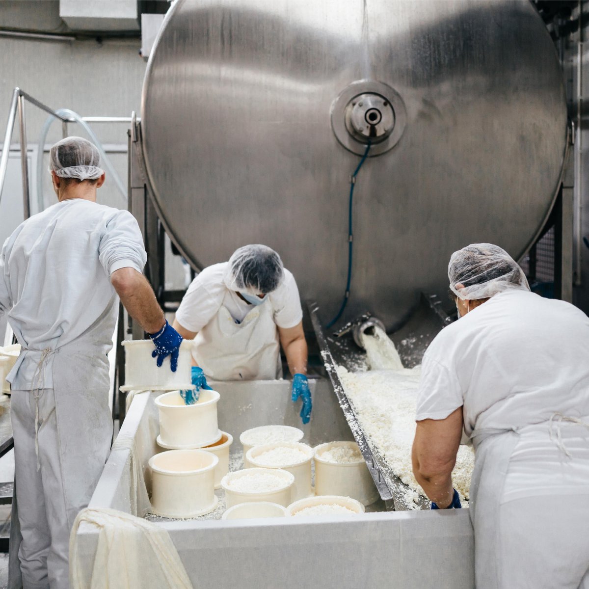 Image of Dairy Processing
