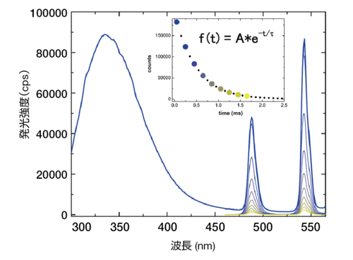 ウシ血清アルブミンと塩化テルビウム混合物のりん光減衰曲線と各時間におけるりん光スペクトル