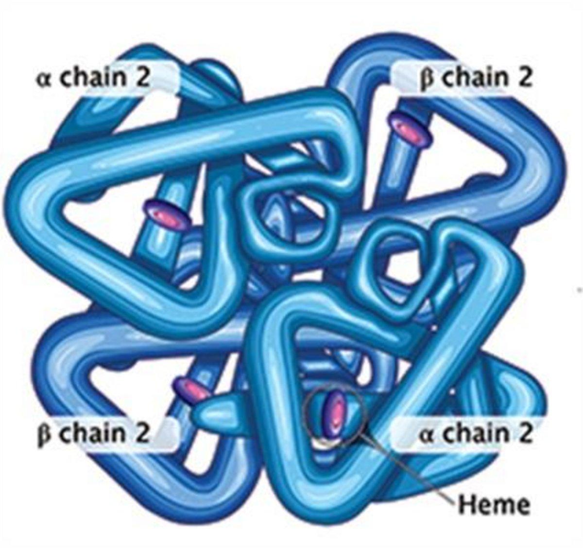 Heme Insights 1 - HORIBA Hematology Newsletter
