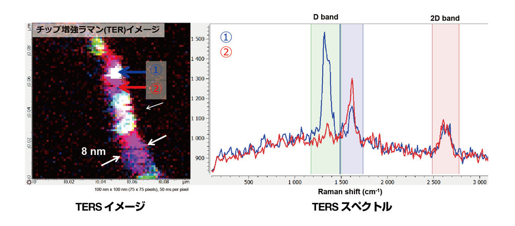 カーボンナノチューブのTERSイメージ