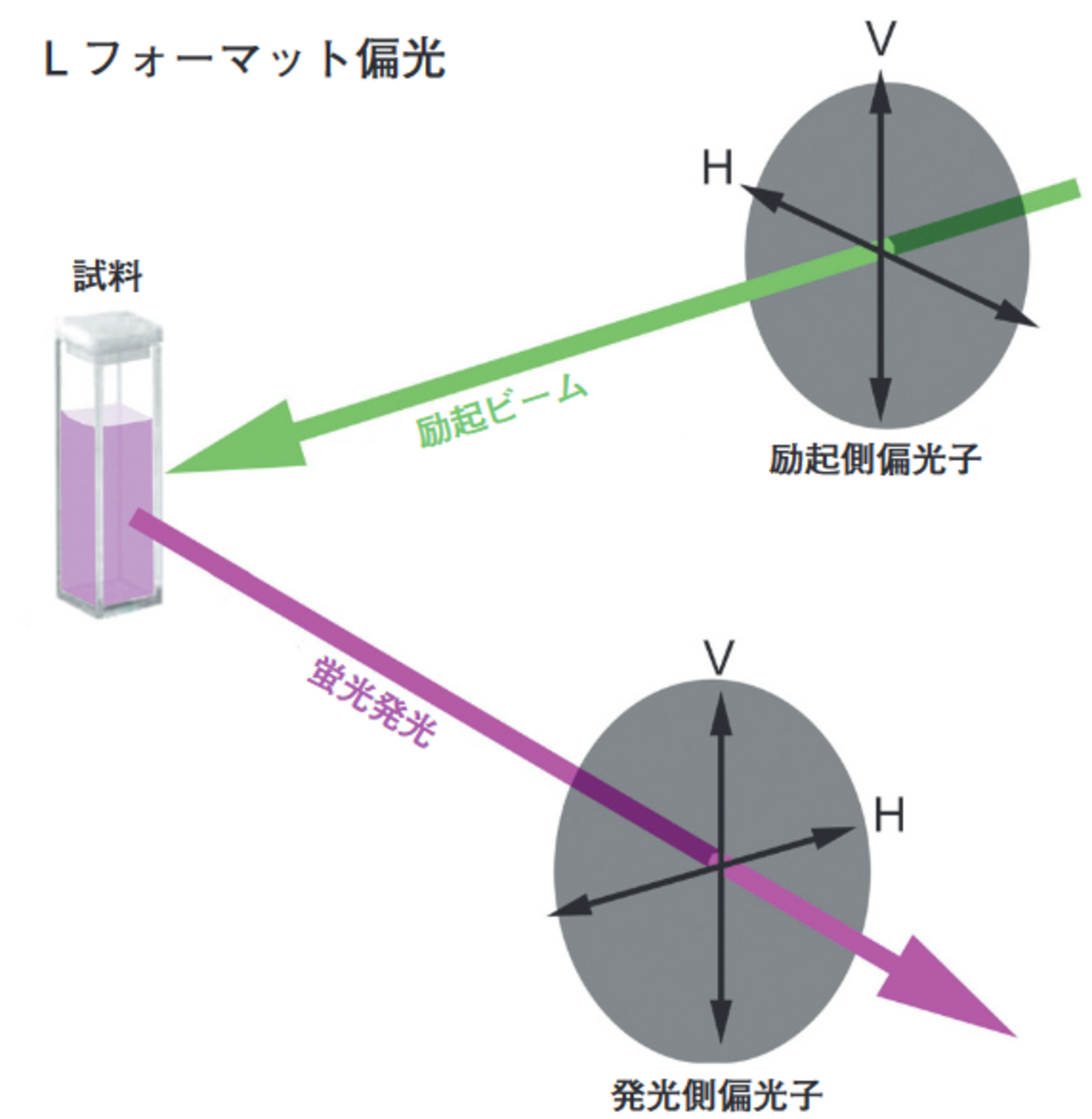 蛍光分光光度計FluoroMax™-4の生物学および 生化学分野の