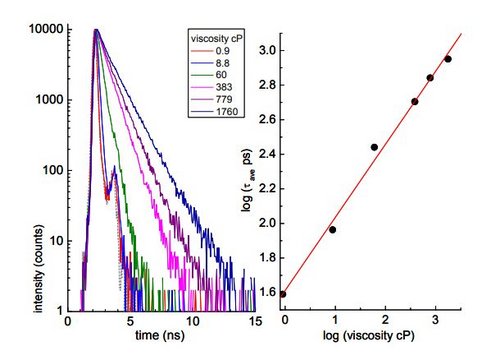 Elucidating Local Viscosity Using Fluorescence Lifetime Measurements