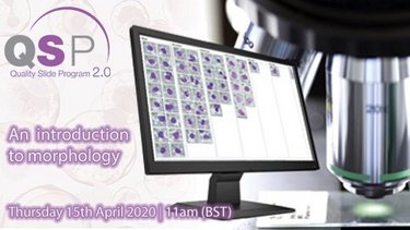 QSP Webinar 15042021_HORIBA Medical