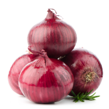 nitrogen in onions_01