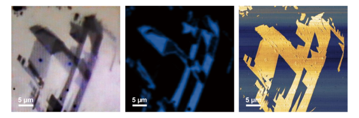 グラフェンのAFMラマン装置を用いたイメージングデータ