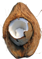 pH and Conductivity Measurements in Coconut Coir Substrate-01
