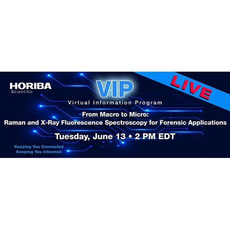 From macro to micro raman and x ray fluorescence spectroscopy for