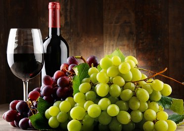 Fluorescence Spectroscopy Used by Winemakers