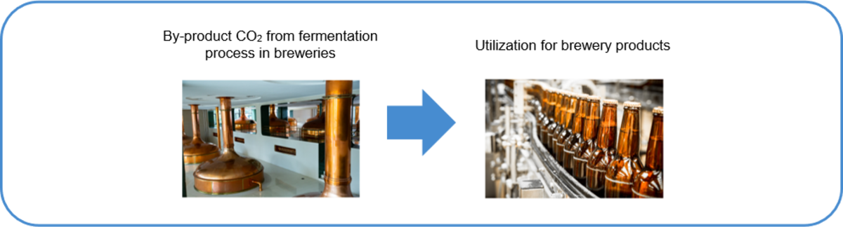 Abbildung 2: Produktionsprozess von Kohlendioxid als Nebenprodukt der Gärung in Brauereien