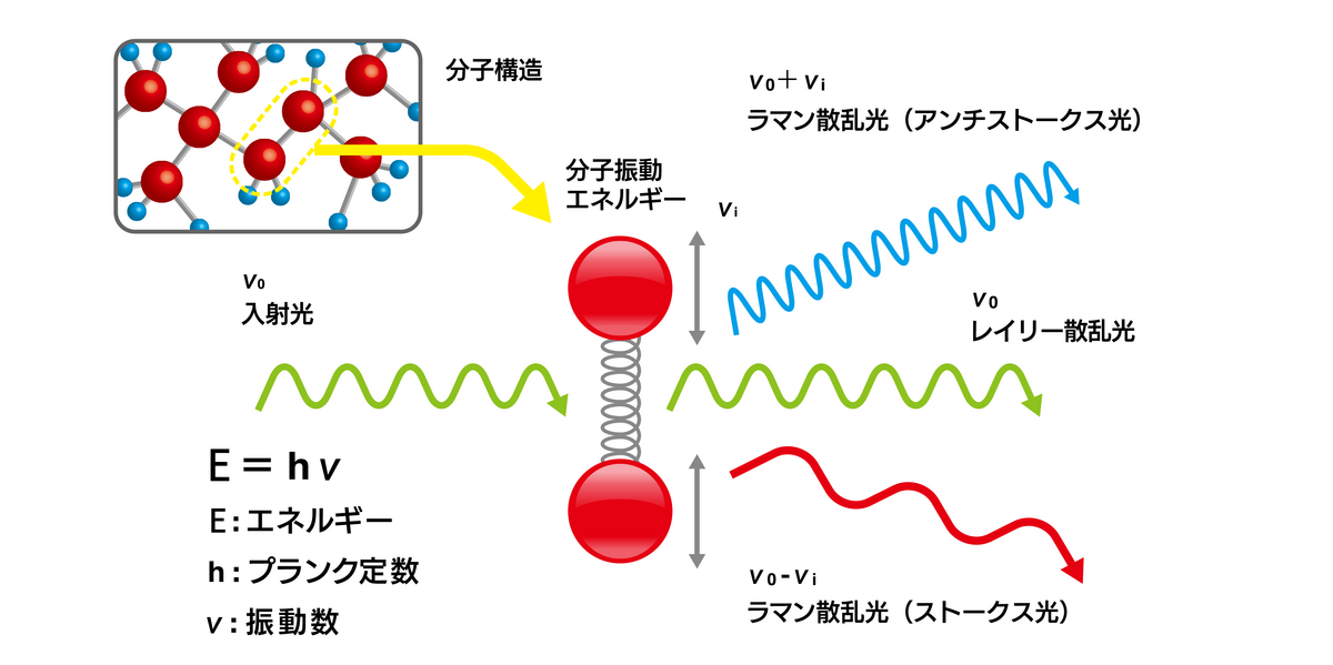 図1 ラマン散乱のイメージ