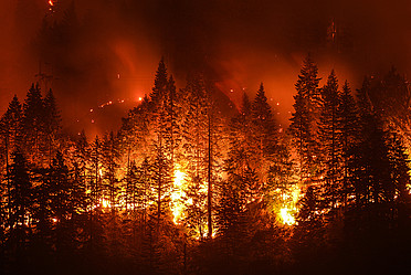 Wildfire frequency and duration have increased in recent years