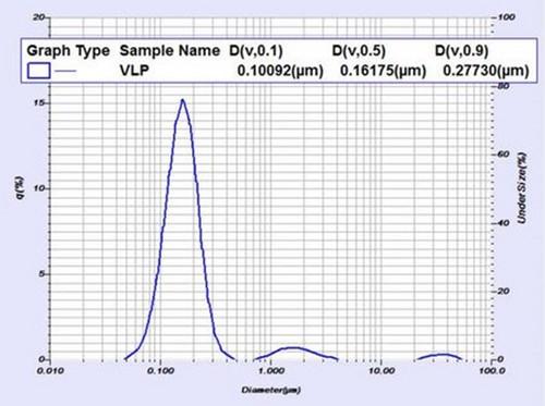 Partica LA-960V2 Laser Scattering Particle Size Distribution