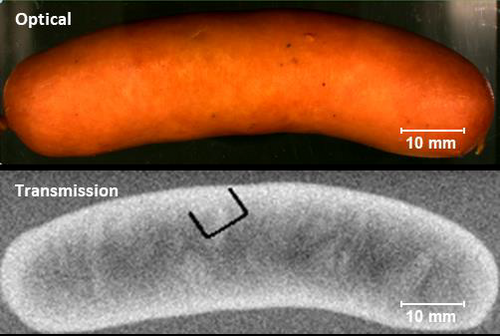 Foreign Matter Analysis in Food using the XGT 9000