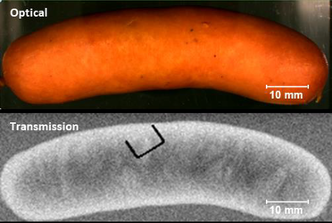 Optical image and transmission X-ray image of the sausage acquired with the XGT-9000