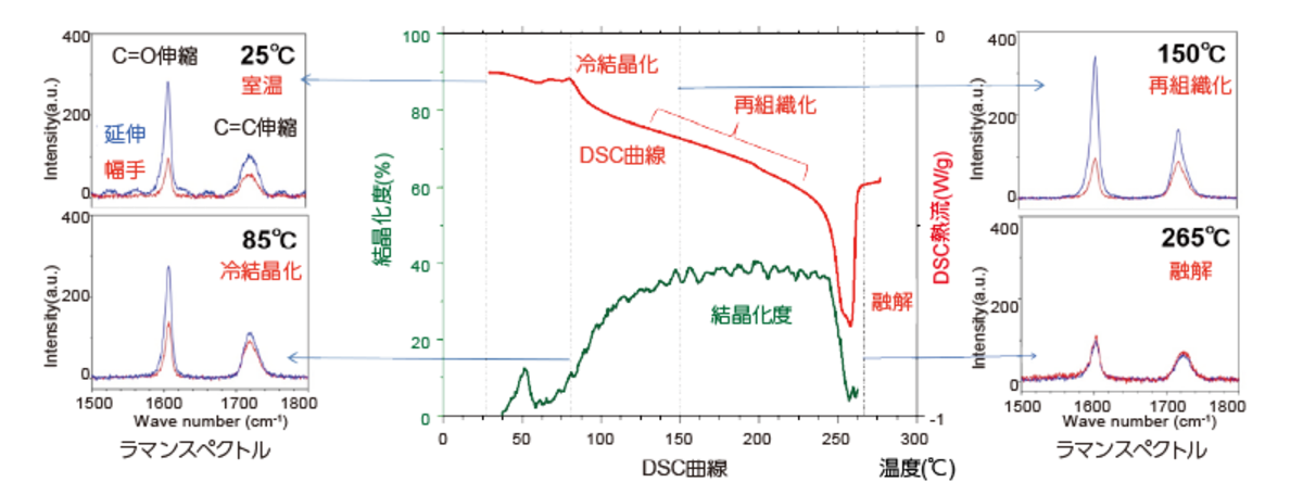 PET フィルムの DSC 曲線と各温度におけるラマンスペクトル