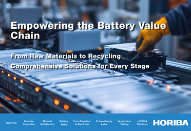 Empowering the Battery Value Chain - From Raw Materials to Recycling Comprehensive Solutions for Every Stage - ebook