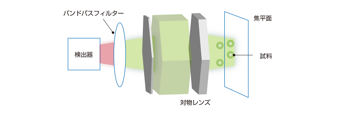 図8 広域照明ラマンイメージング光学系概略図