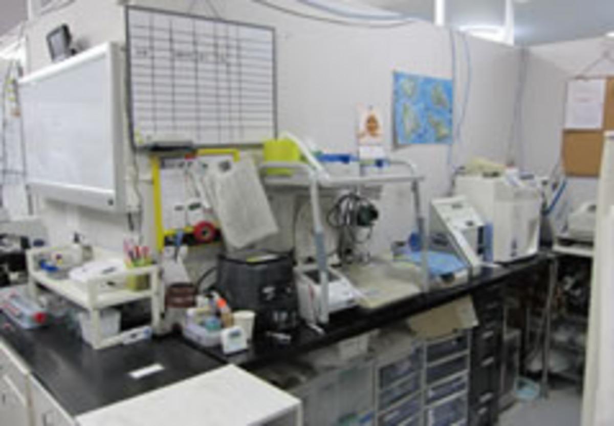 動物病院内検査エリアの様子