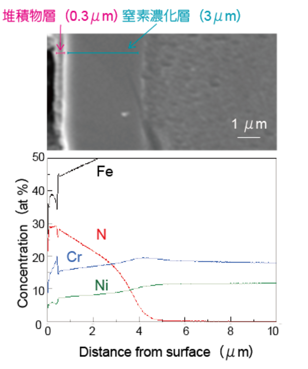 関西大学化学生命工学部 教授西本明生先生ご提供データ